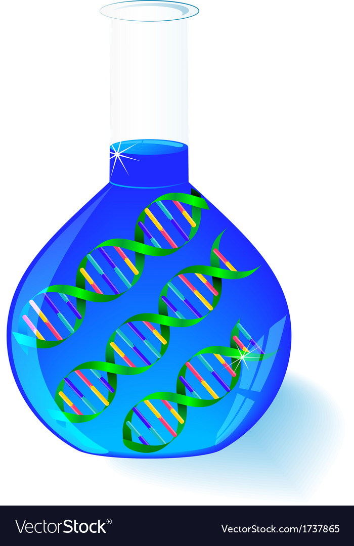 DNA Molecule in Flask