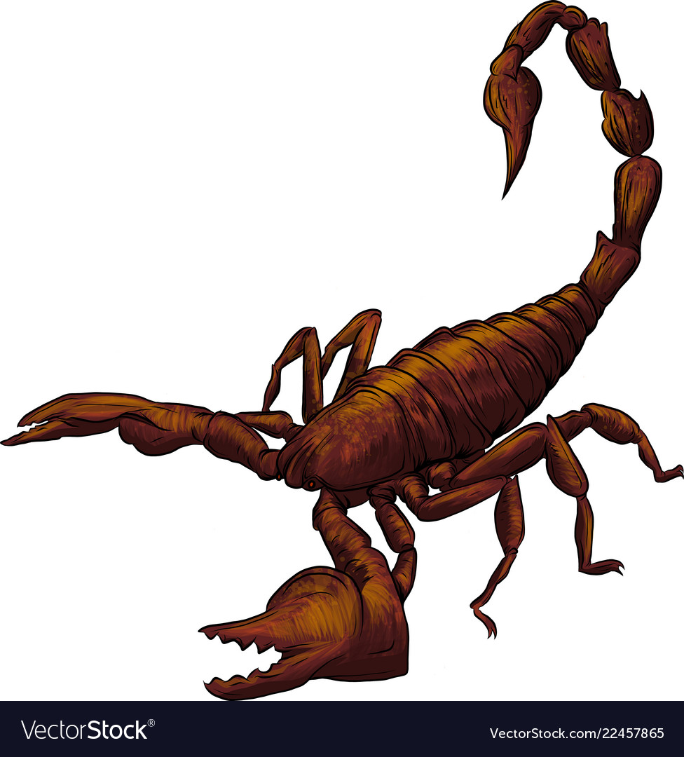 Realistic scorpion cartoon in Royalty Free Vector Image