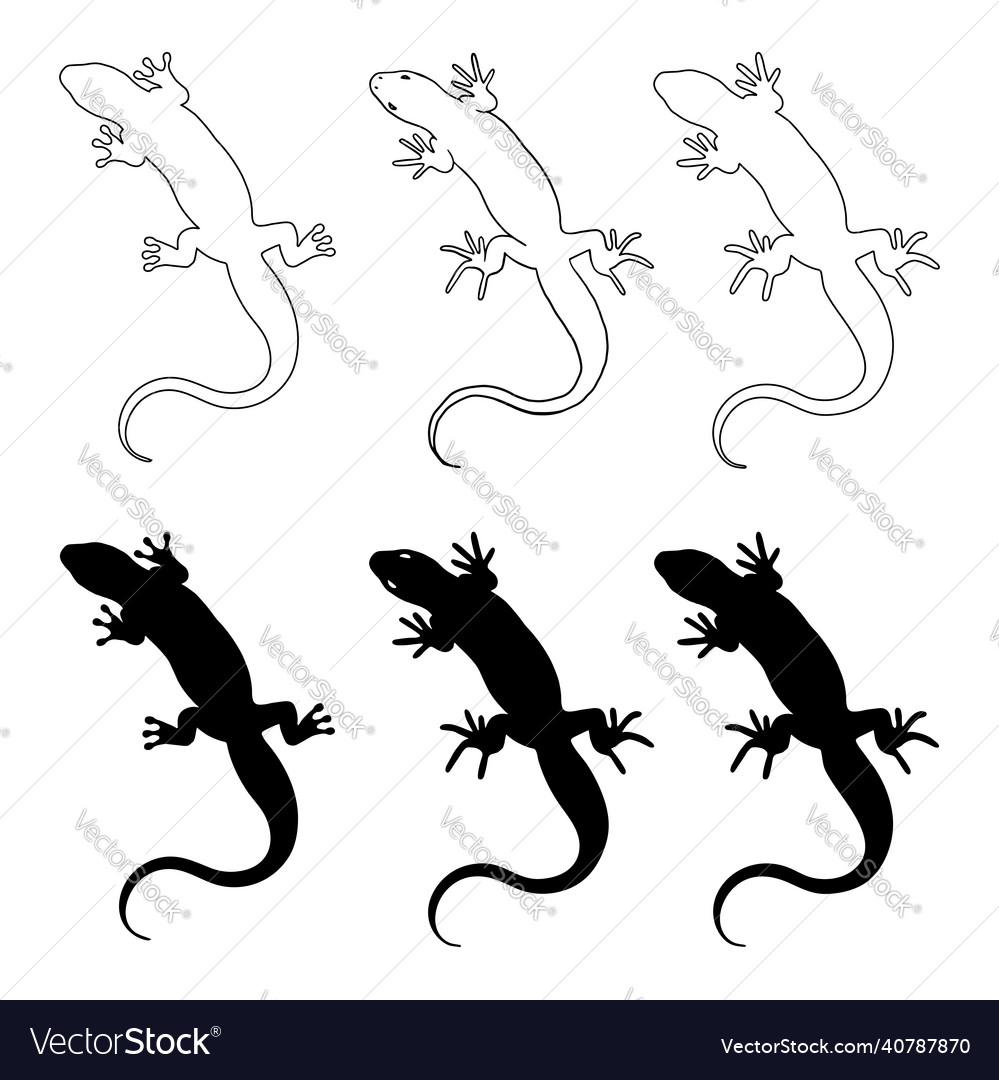 Lizard reptile black silhouette design element Vector Image