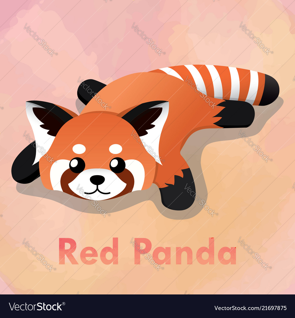 Laying cute red panda