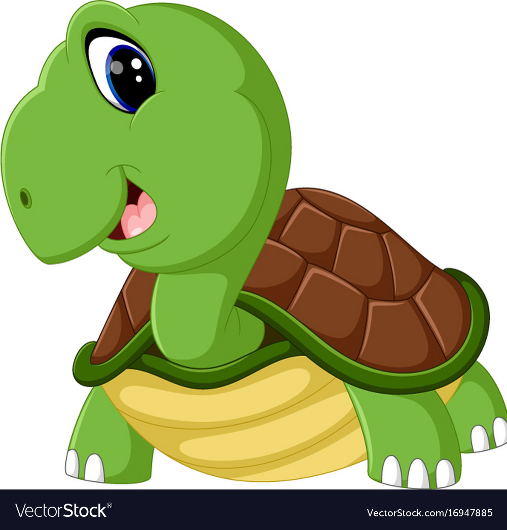 Cute turtle cartoon Royalty Free Vector Image - VectorStock