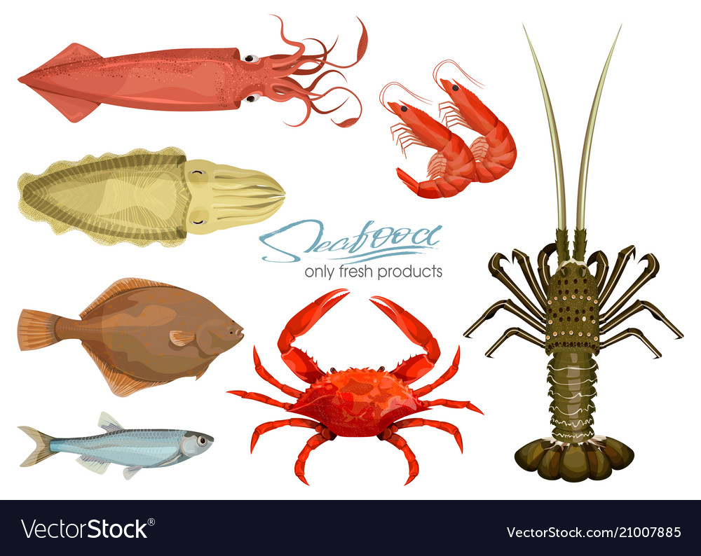 Seafood in cartoon style icons