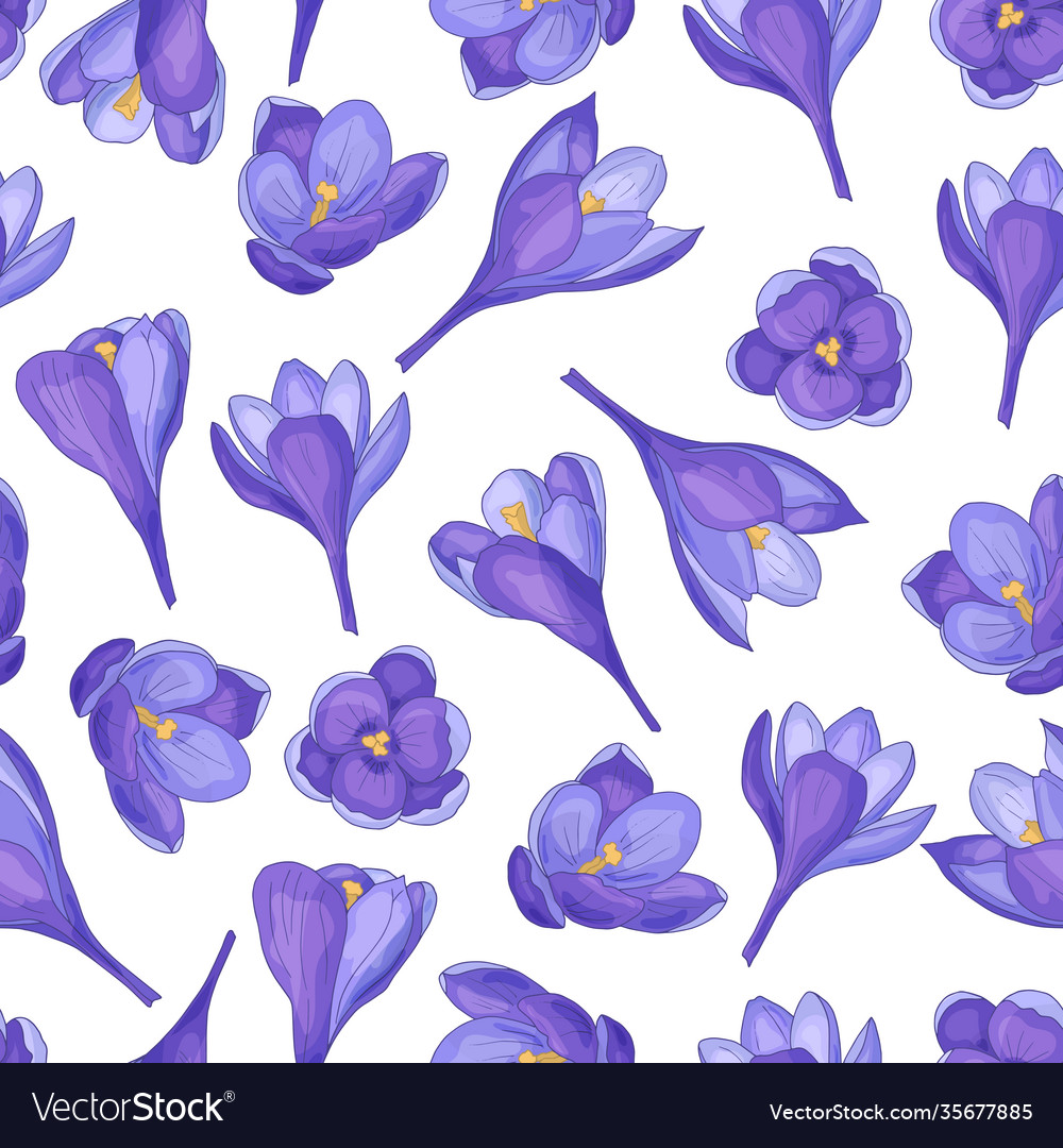 Seamless pattern with purple crocuses on a white