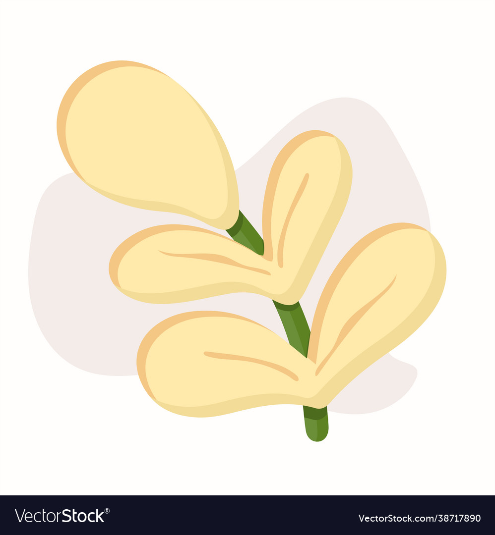 Leaf pair with unique style Vector Image Leaf pair with unique style