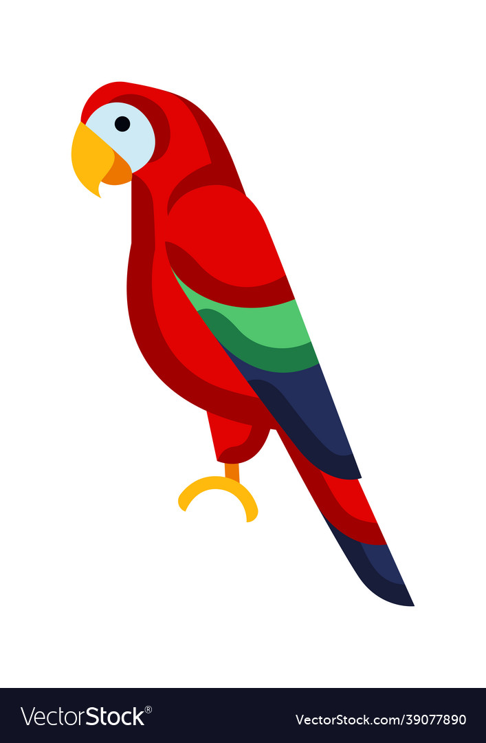 Stylized parrot image of wild