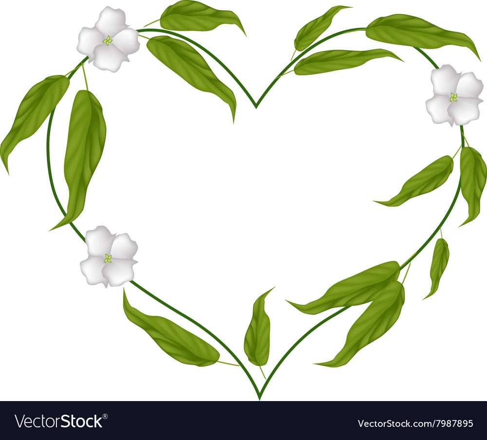 Chebulic myrobalans blossoms in a heart shape Vector Image