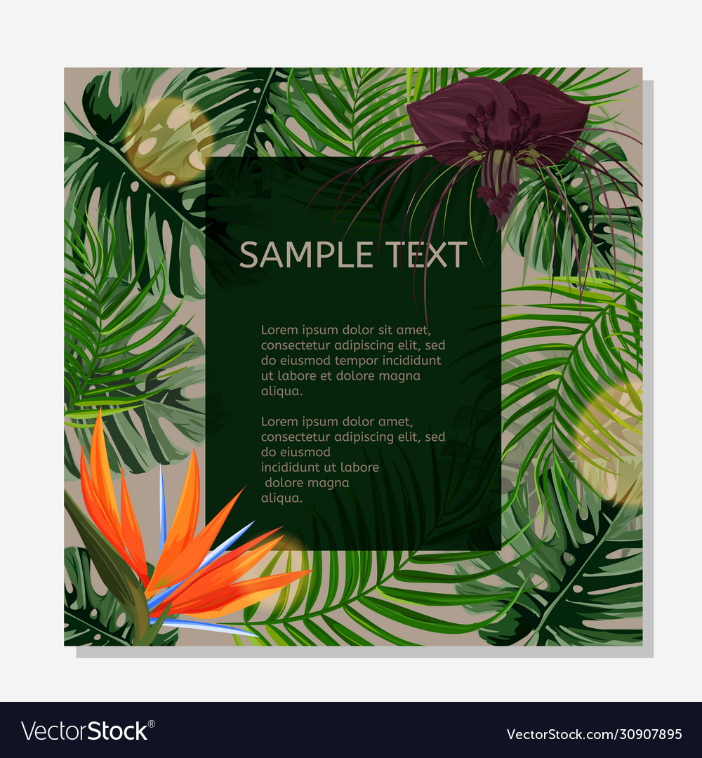 Colorful design poster exotic tropical leaves\
and