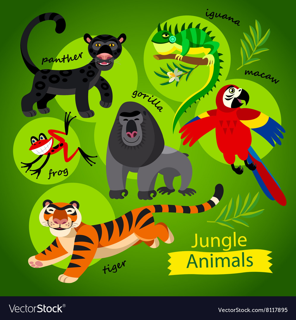 Wild jungle animals Royalty Free Vector Image - VectorStock