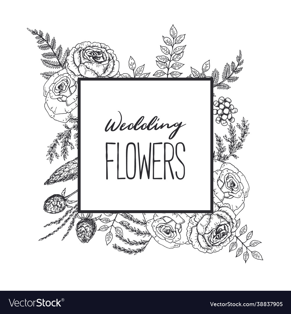 Hand drawn botany frame with elements