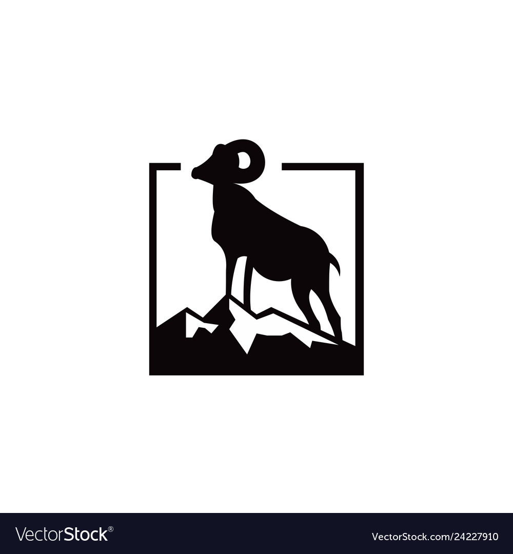 Goat animal