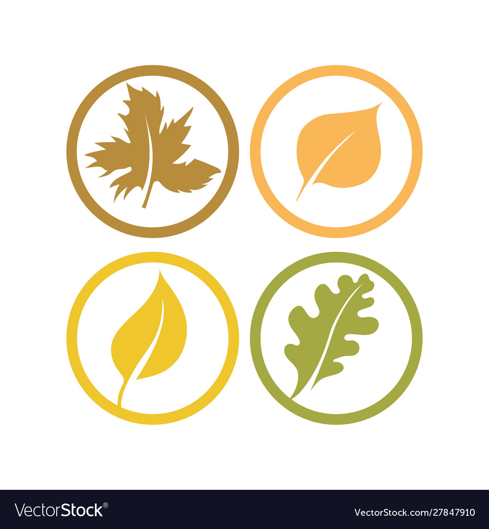 Leaves set template