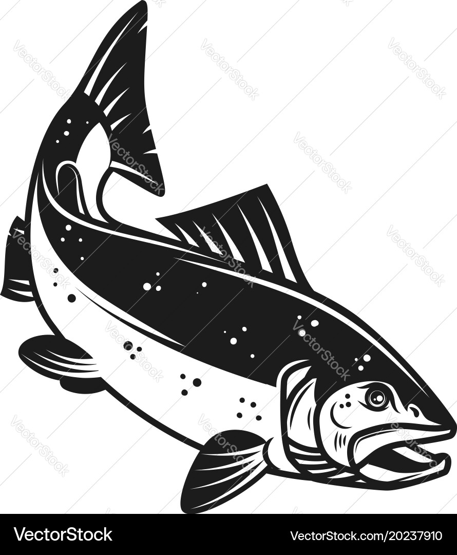 Salmon fish icon isolated on white background Vector Image