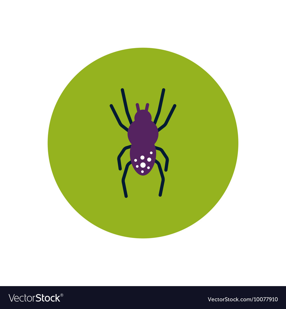 Stylish icon in color circle spider insect