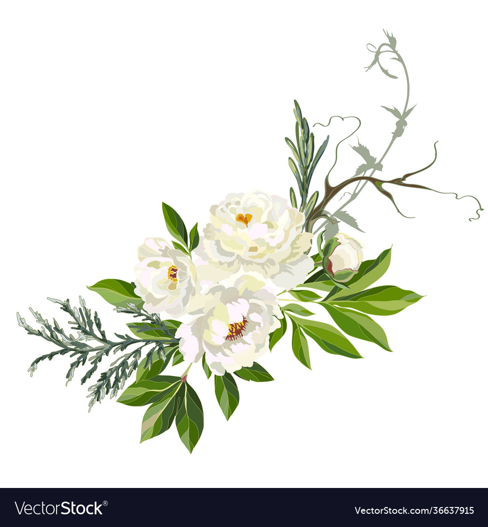 Decorative element from white flowers Royalty Free Vector