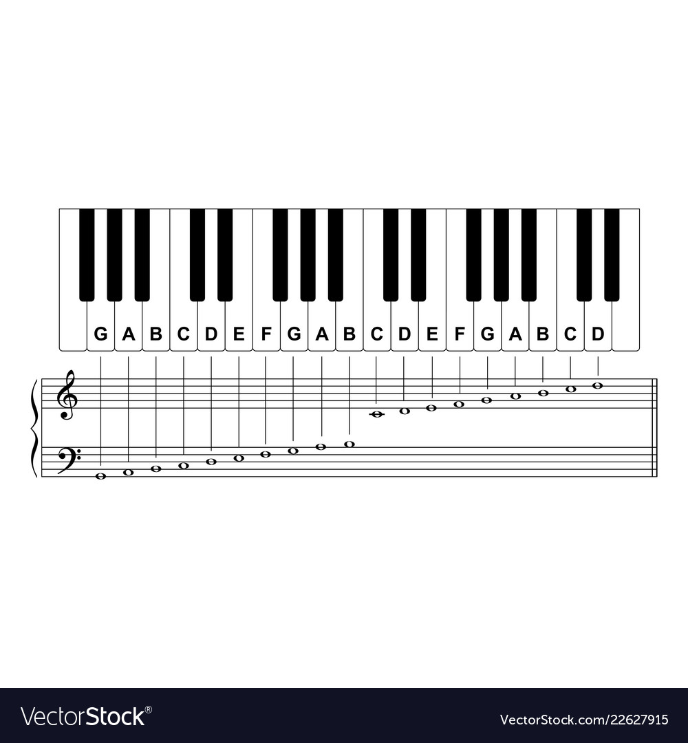 Piano keyboard diagram - piano keyboard layout Vector Image