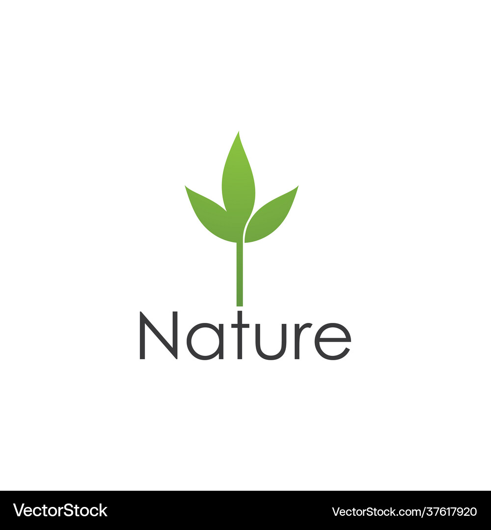 Green leaf Royalty Free Vector Image - VectorStock