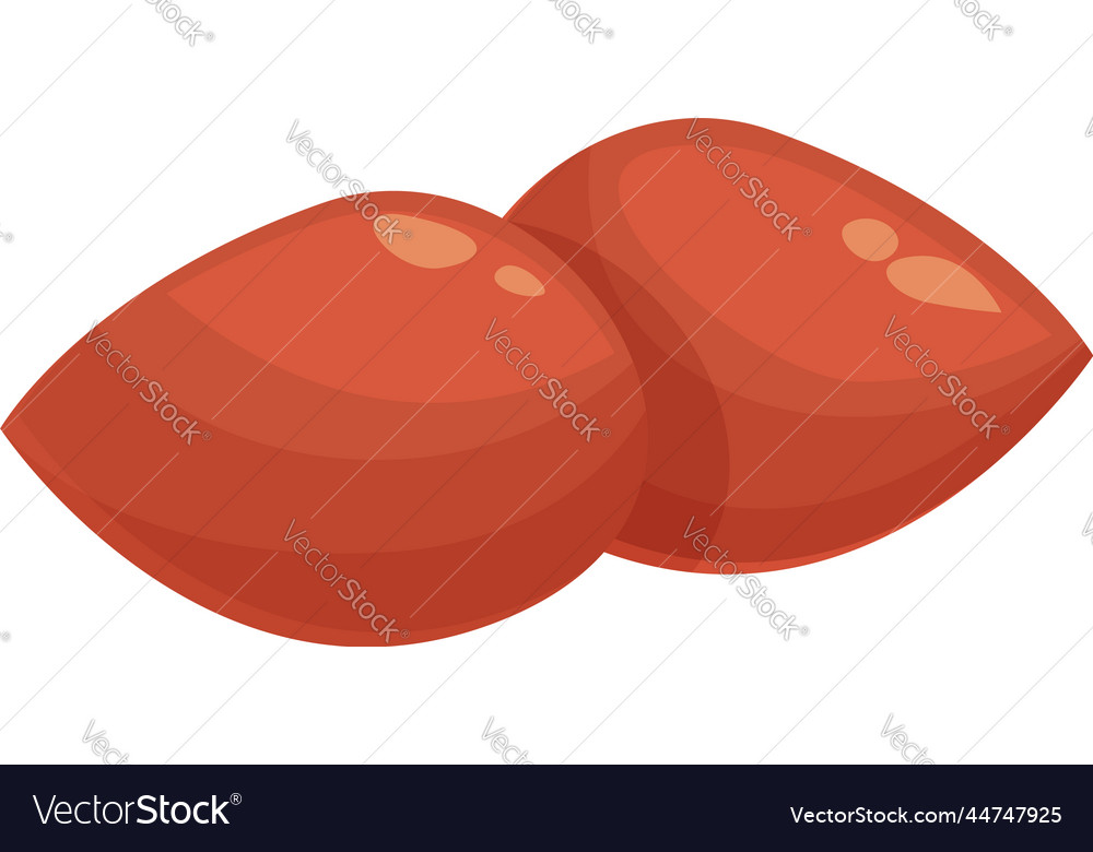 Bio peanut icon cartoon food nut Royalty Free Vector Image