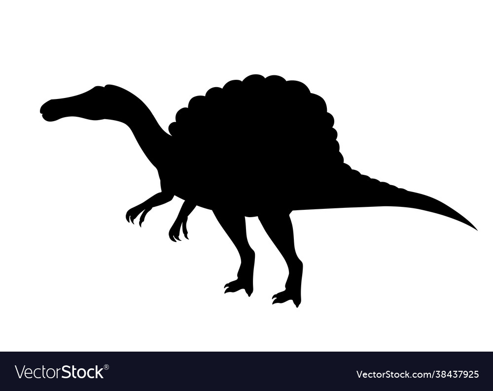 Black silhouette gray spinosaurus cute dinosaur Vector Image