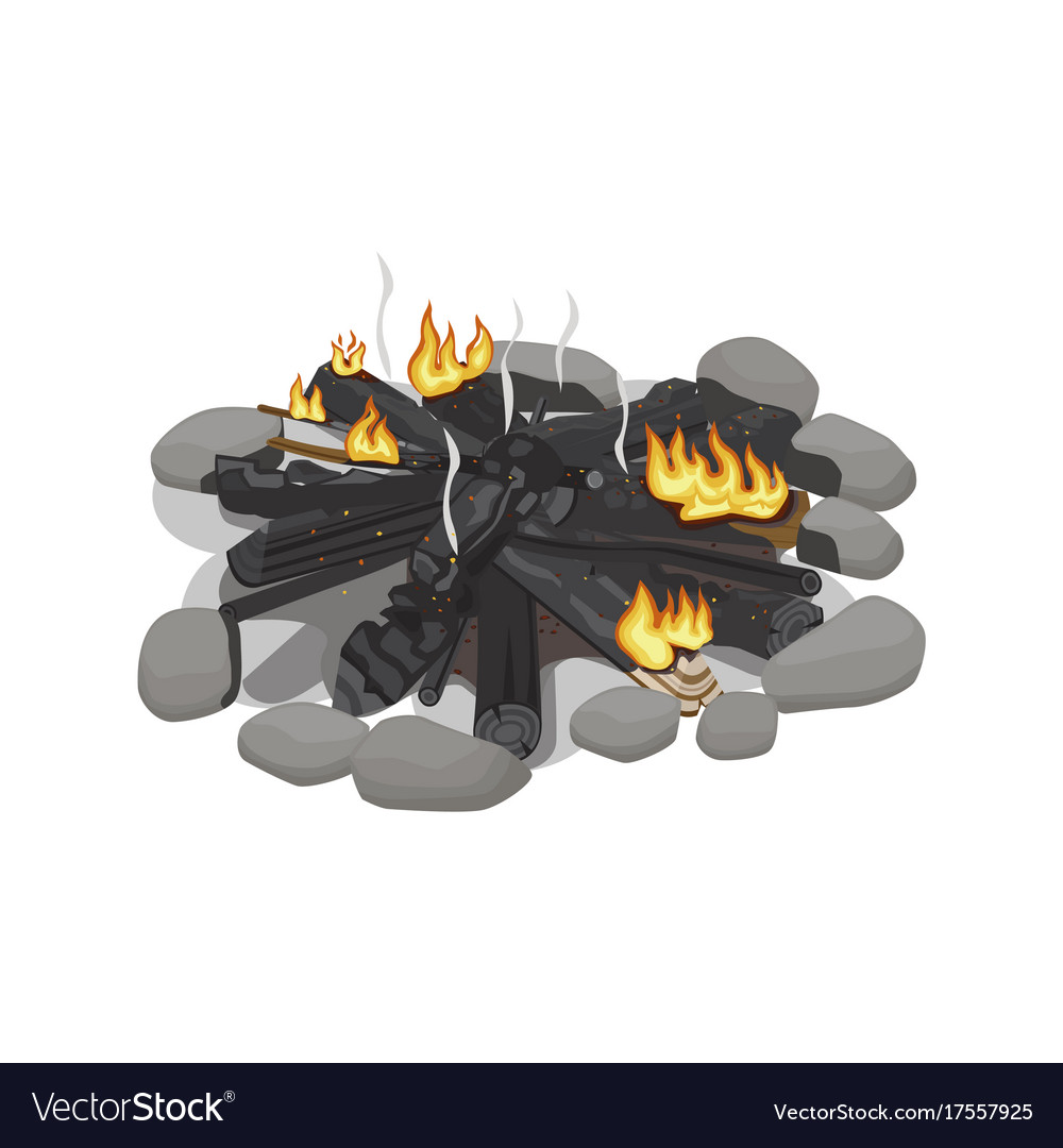 Dark burnt firewood with weak flame on white