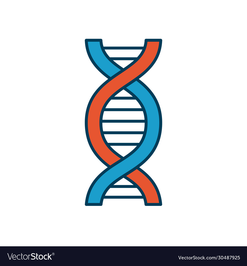 Dna chain icon line and fill style Royalty Free Vector Image