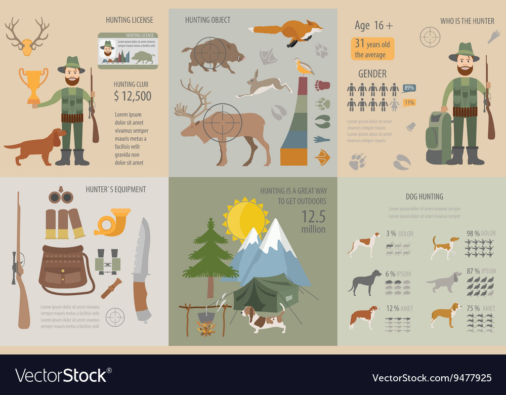 Hunting infographic template dog equipment Vector Image