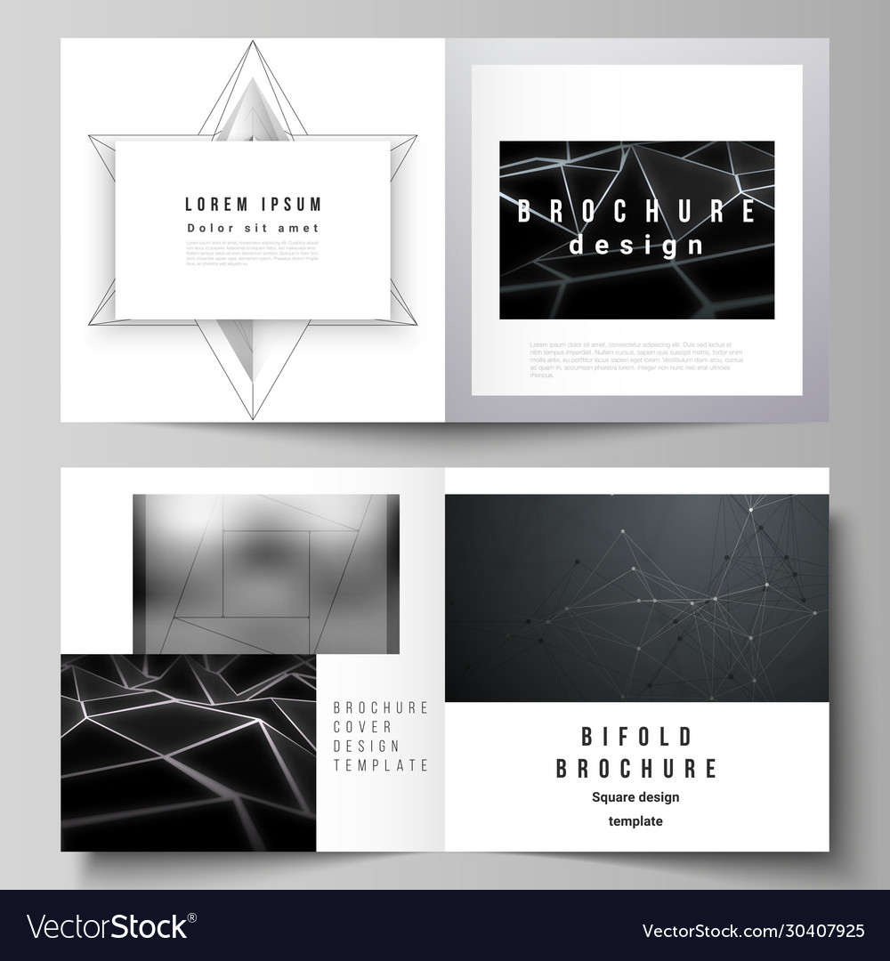 Layout two covers templates for square Royalty Free Vector