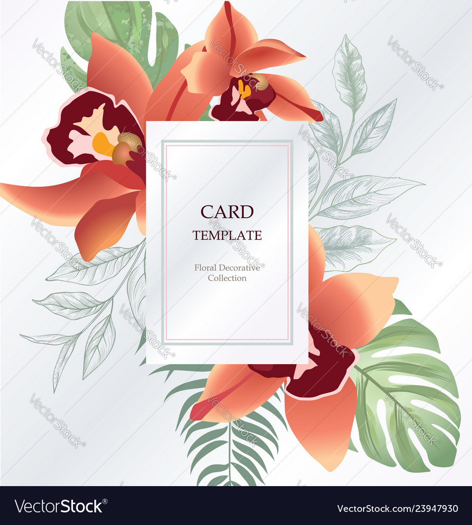 Floral Greeting Invitation Card Template Design Vector Image