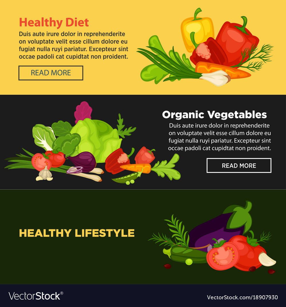 Healthy lifestyle diet that consists of organic Vector Image