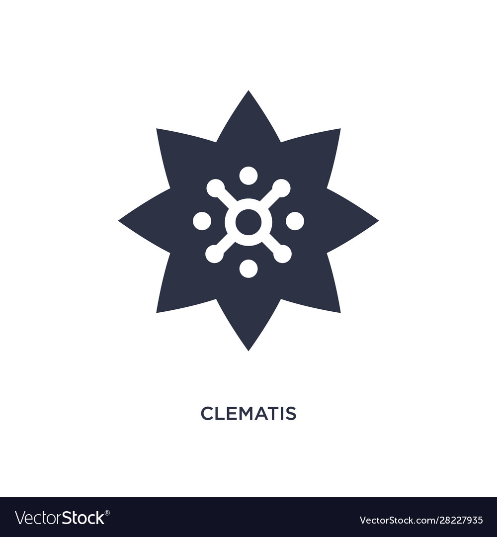 Clematis icon on white background simple element vector image Clematis icon on white background simple element