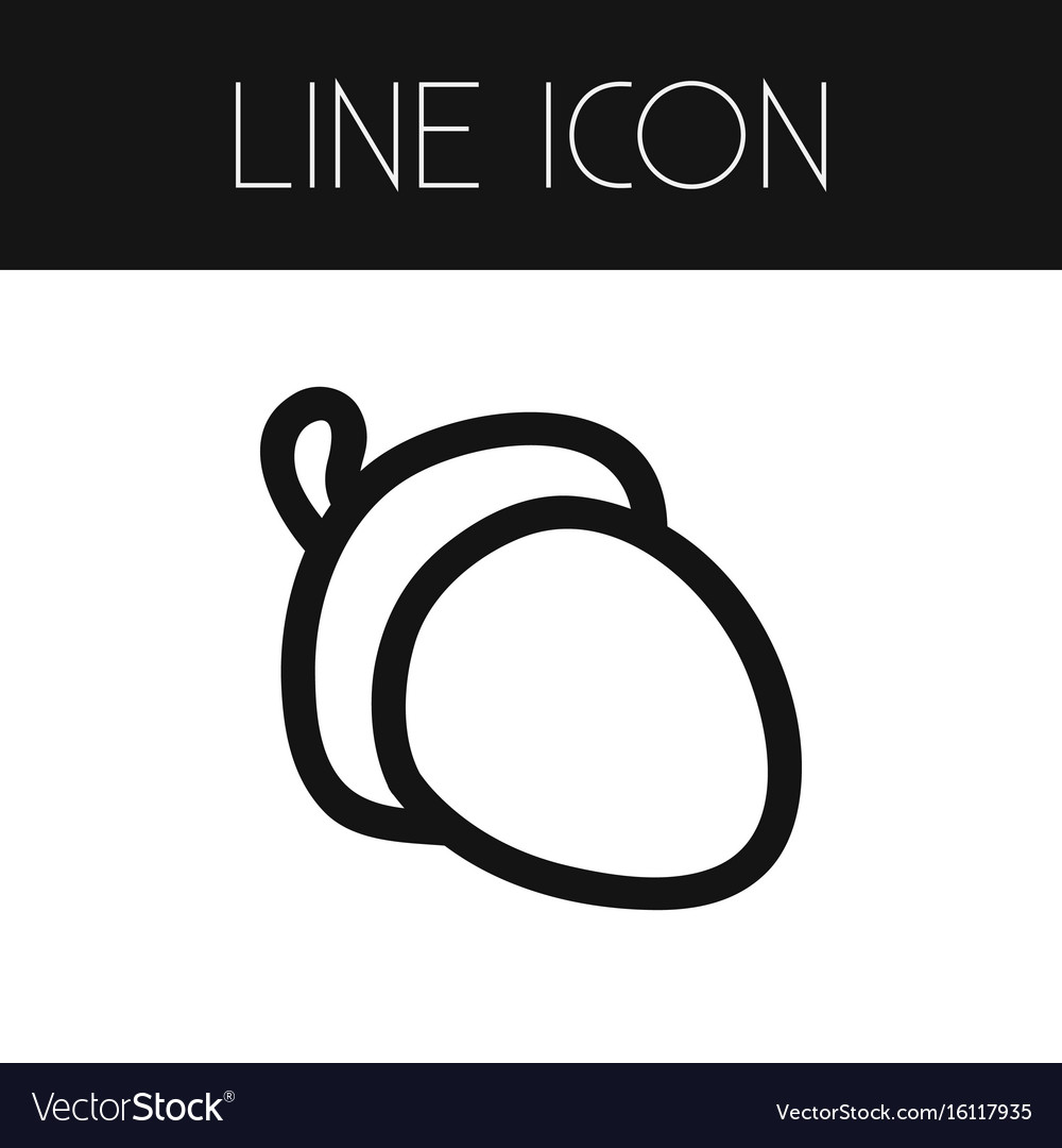 Isolated hazelnut outline filbert element