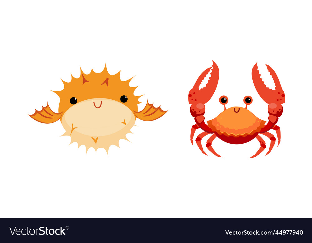 Crab and blowfish as sea animal floating