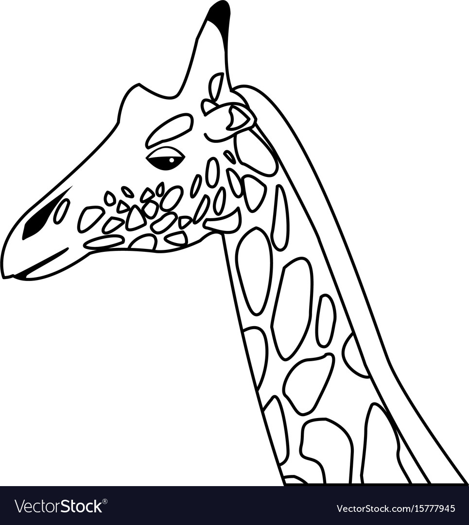 Giraffe head herbivore african wildlife Royalty Free Vector Giraffe head herbivore african wildlife Royalty Free Vector