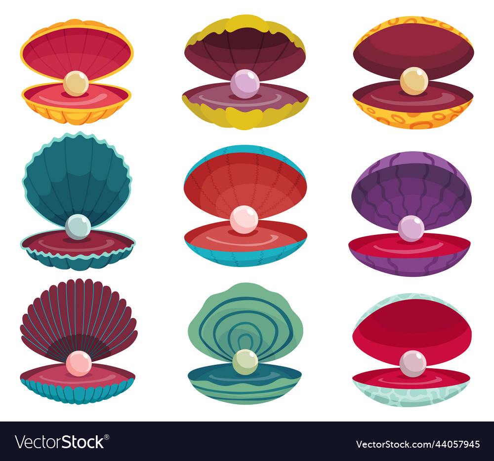 Pearls in seashell open seashells scallop