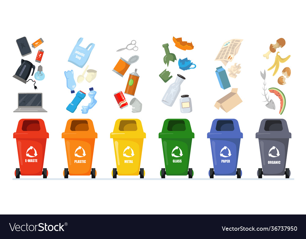 Garbage sorting set Royalty Free Vector Image - VectorStock