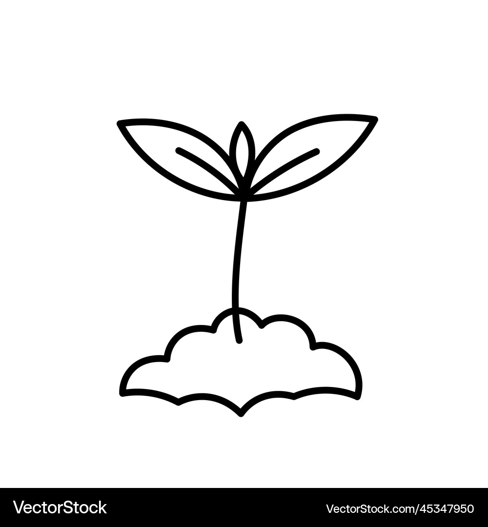 Flowering Plant Life Cycle Clipart Fertilization Germination \u0026 Pollination  | Made By Teachers, image size:1000x1080