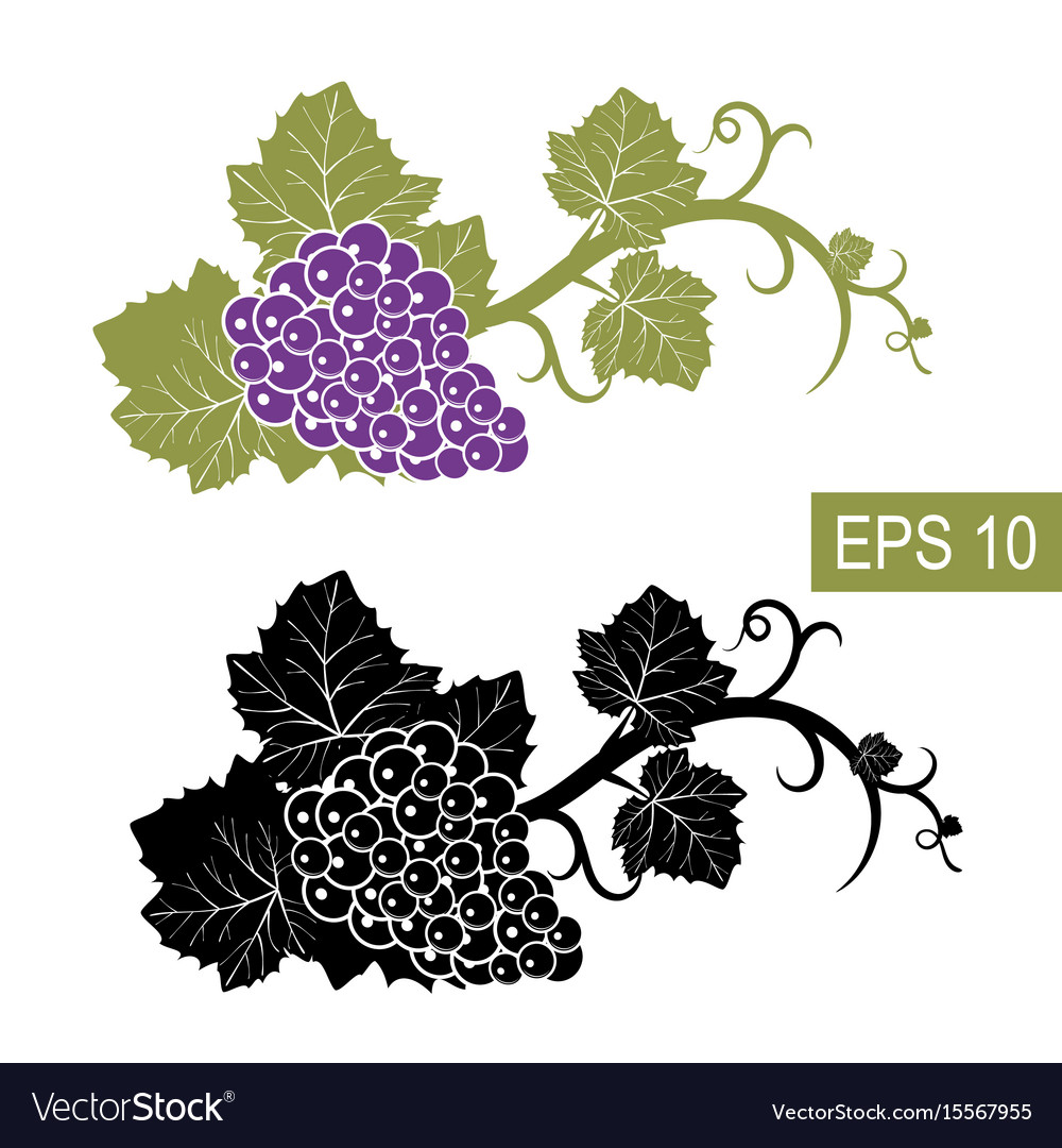 Grapes are symbols isolated signs Royalty Free Vector Image