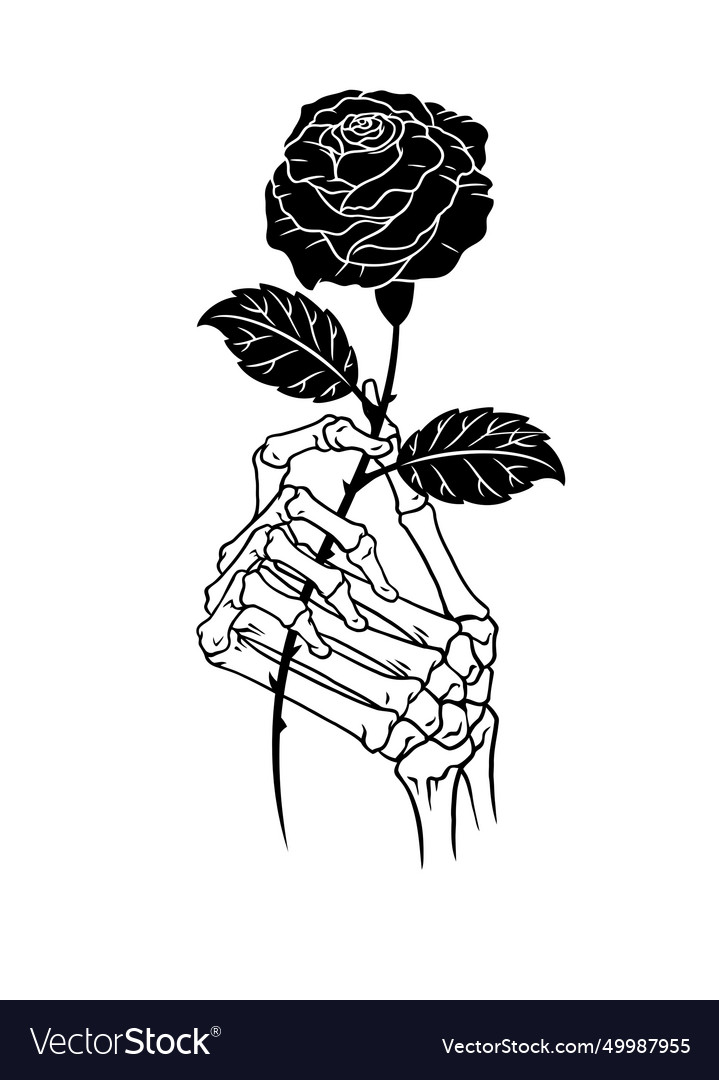 Hand bone holding a black rose isolated Royalty Free Vector