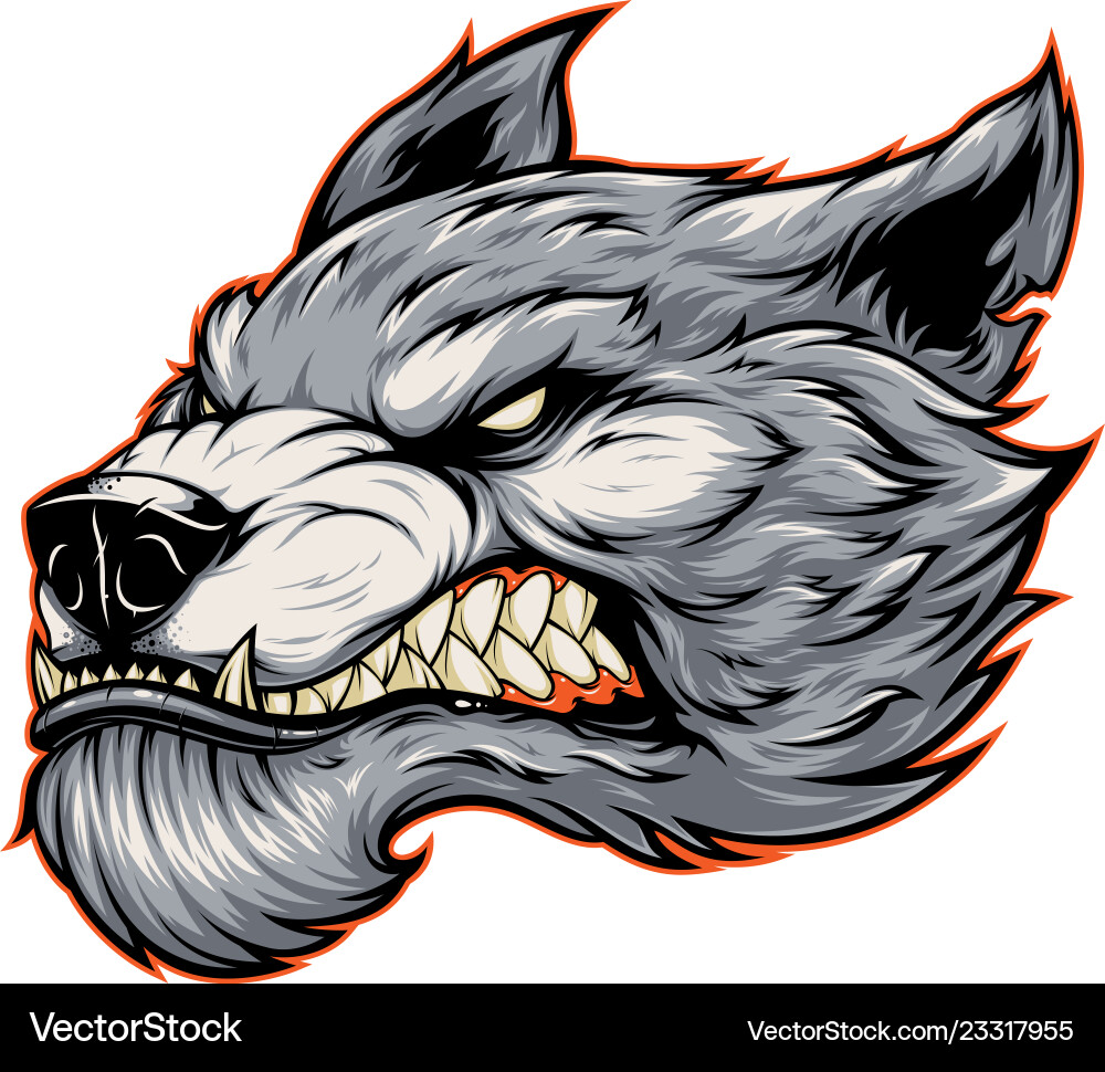 Head A Fierce Werewolf Wolf Royalty Free Vector Image