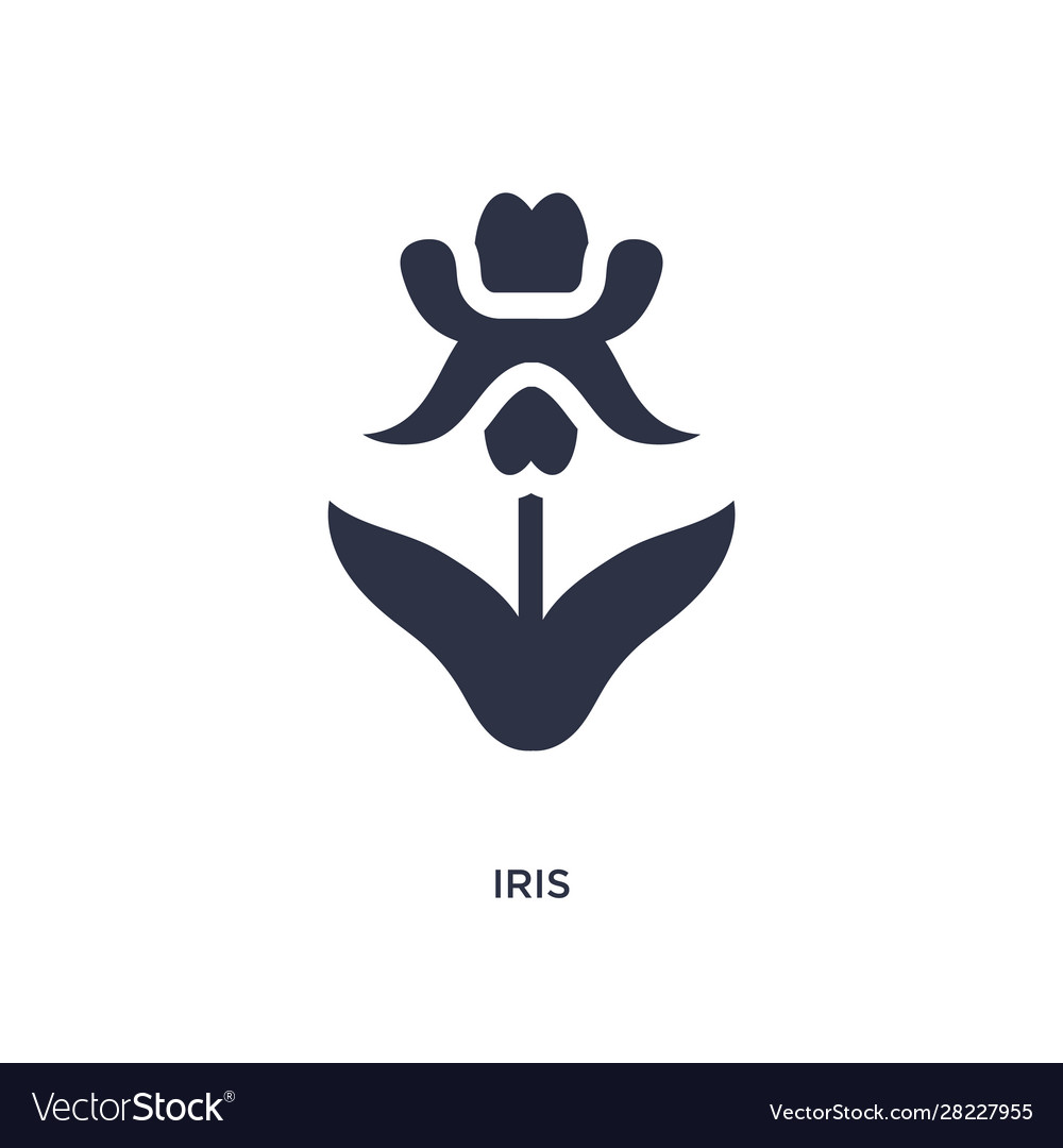 Iris icon on white background simple element from vector image Iris icon on white background simple element from