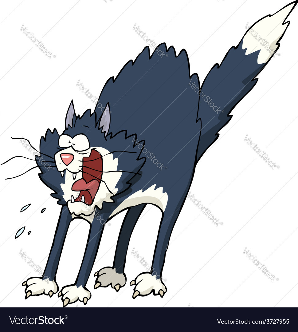 Scared store cartoon cat