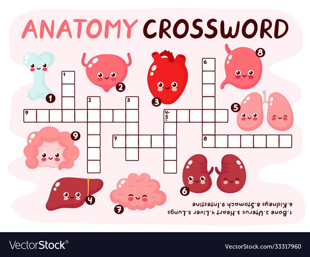 Menschliche anatomische Kreuzworträtsel Spiel