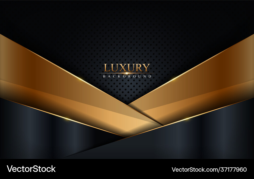 Luxury black and gold combination background Vector Image