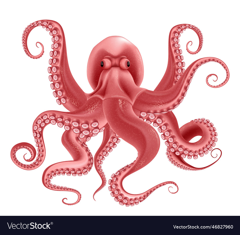 Red octopus realistic object Royalty Free Vector Image