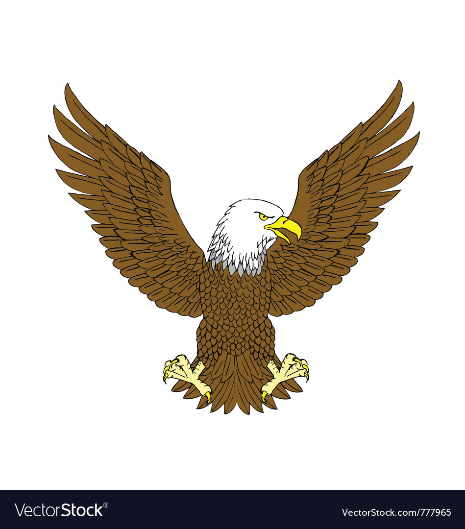 Eagle Royalty Free Vector Image - VectorStock