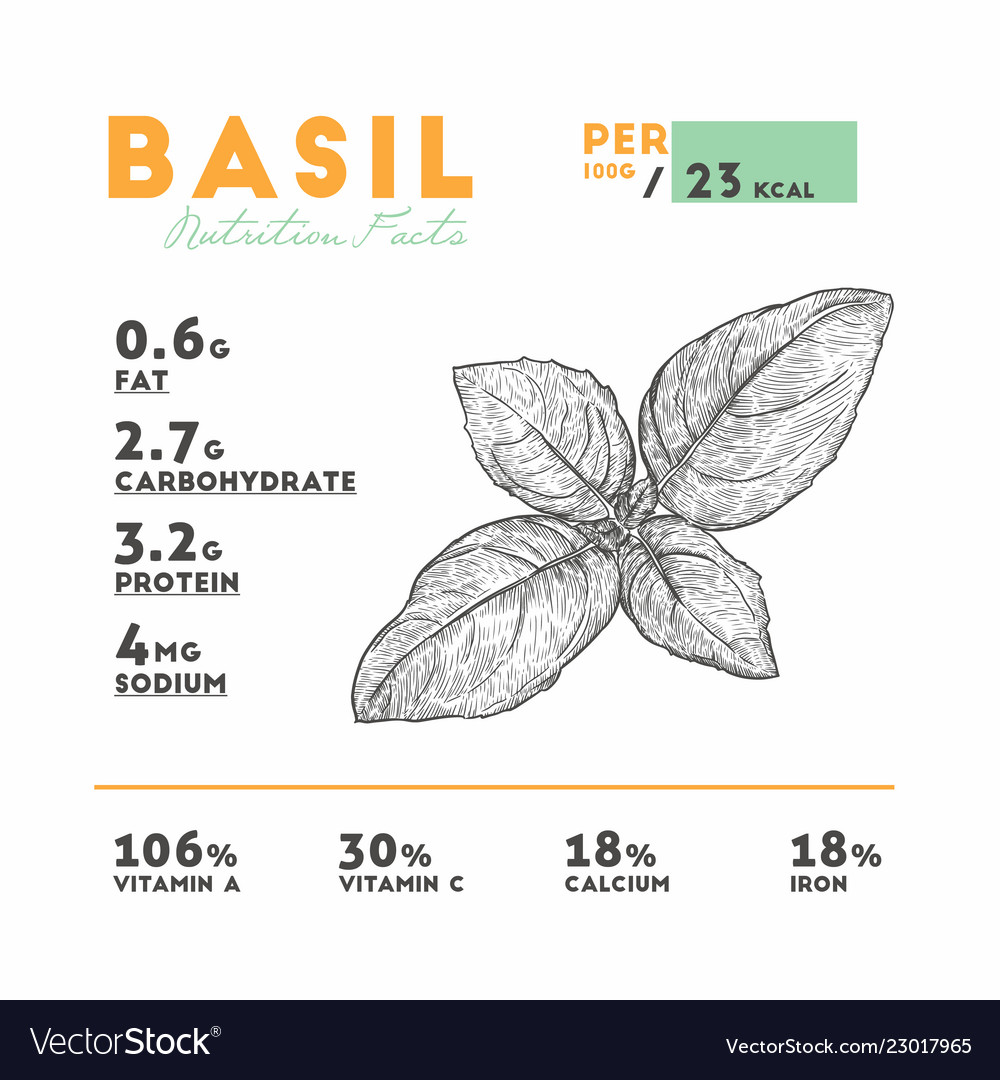 nutrition-facts-raw-basil-royalty-free-vector-image