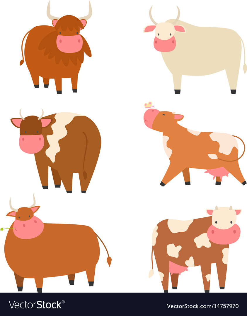 Bulls cows farm animal character Royalty Free Vector Image