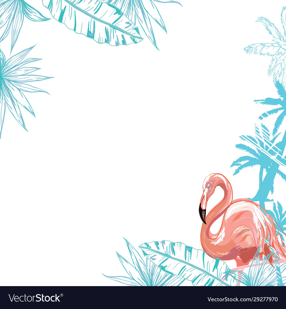 Flamingo bird design on background
