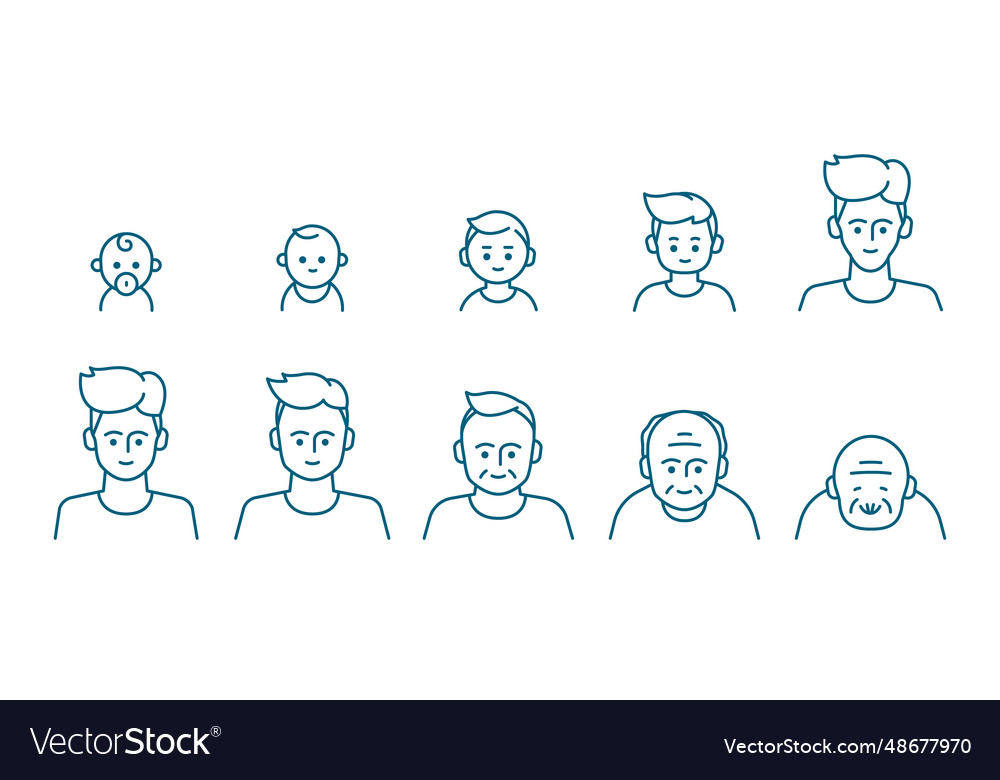 Male portrait at different ages Royalty Free Vector Image