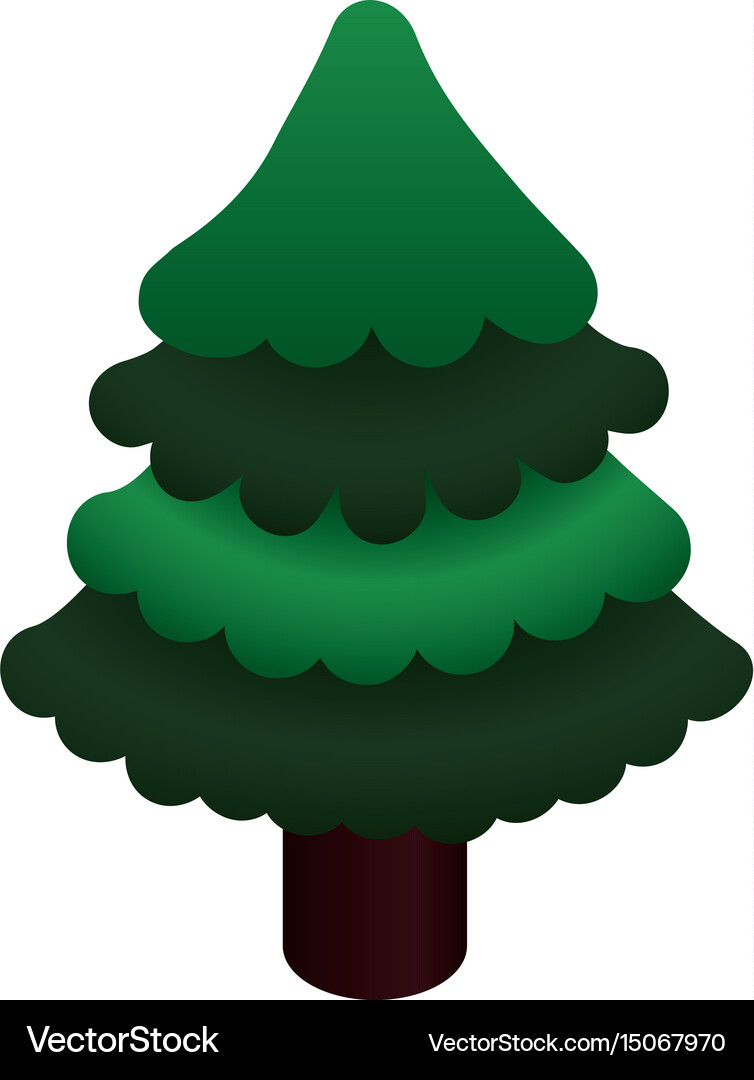 Tree pine christmas Royalty Free Vector Image - VectorStock