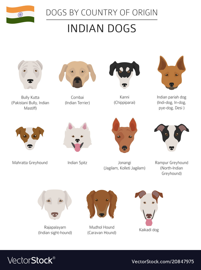 Indian Dog Variety Peacecommission kdsg gov ng